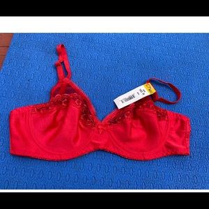 Womens Bra Jolie Intimates Underwire Lace Sexy Style 163R Size 40c  Red New NWT